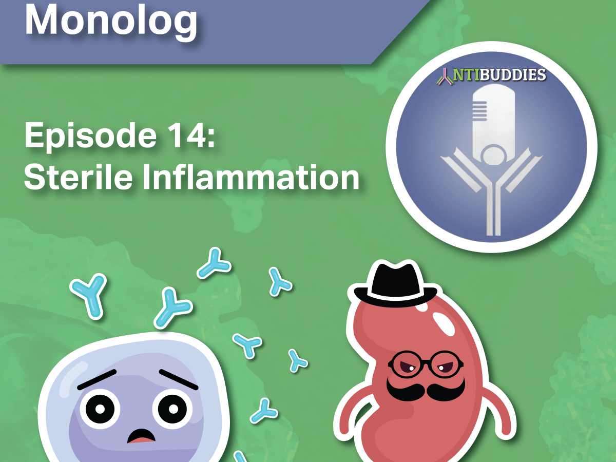 Monolog 14 – Sterile inflammation