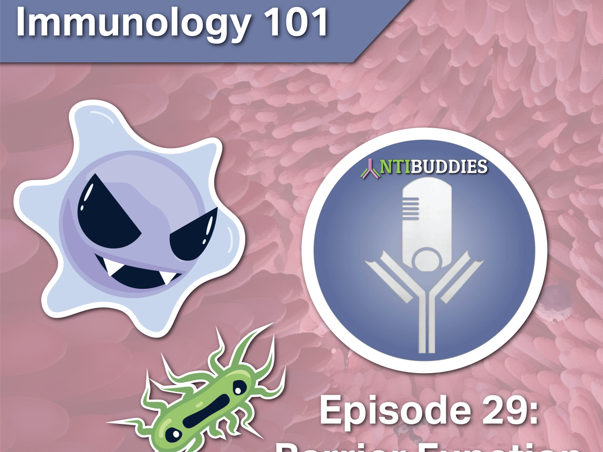 Ep29 – Barrier Immunity & the gut